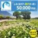 fu.... налог [ Asahikawa город ].... Tour . использование возможный WEB путешествие купон (50,000 иен минут ) * mail выпуск | путешествие купон _05439 Hokkaido Asahikawa город 