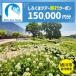 fu.... налог [ Asahikawa город ].... Tour . использование возможный WEB путешествие купон (150,000 иен минут ) * mail выпуск | путешествие купон _05438 Hokkaido Asahikawa город 