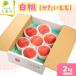fu.... налог . хочет ..( белый персик ) 2kg фрукты фрукты Yamagata Yamagata префектура небо . город 