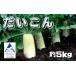 fu.... налог дайкон 5kg дайкон овощи | Ishikawa префектура Komatsu город JA... Ishikawa префектура Komatsu город 