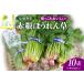 fu.... налог корень .......! красный корень шпинат 10 пачка овощи 08-01-049 Yamagata префектура небо . город 