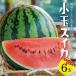 fu.... налог SA2886 Yamagata префектура производство маленький шар арбуз .. Izumi [ Lupin ] 7kg и больше (6 шар входить ) утро .. сельское хозяйство дом прямая поставка Yamagata префектура sake рисовое поле город 