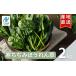 fu.... налог шпинат 2kg 10 пакет шпинат .... похоже Fukushima префектура 2 шт.@ сосна город 