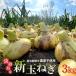 fu.... налог новый шар лук порей Awaji Island производство 3kg.... ферма .. новый шар лук порей Hyogo префектура .книга@ город 