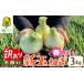 fu.... налог [ предшествующий предварительный заказ ] Awaji Island новый шар лук порей 3kg есть перевод размер не комплект простой коробка . доставка / новый шар лук порей Hyogo префектура 