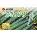 fu.... налог [ предшествующий предварительный заказ ] 4 река огурец 5kg Honda сельское хозяйство . овощи подарок | Ishikawa префектура Komatsu город Honda сельское хозяйство . Ishikawa префектура Komatsu город 