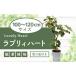 fu.... налог 2026 год 9 месяц сверху .~ отправка [ декоративное растение ]la желтохвост . Heart 100cm~120cm[ сельское хозяйство . вода производство . товар вид регистрация ] T&amp;P 077-1498 декоративное растение * Hokkaido *... Кагосима префектура палец . город 