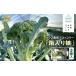 fu.... налог house культивирование брокколи [ в коробке .]3 штук входит l овощи Hokkaido камень . город Hokkaido камень . город 