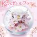 fu.... налог Sakura. бутылка цветок (Qb044) Fukuoka префектура Kurume город 