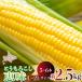 fu.... налог <2026 год 8 месяц первая декада .. доставка > примерно 2.5kg! Hokkaido .. производство кукуруза (. тест )[L~2L размер 5~6шт.@] SBTP014 Hokkaido .. блок 