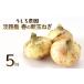 fu.... налог новый шар лук порей Awaji Island производство 5kg. сырой ... сельское хозяйство . новый шар лук порей Hyogo префектура .книга@ город 