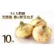 fu.... налог новый шар лук порей Awaji Island производство 10kg. сырой ... сельское хозяйство . новый шар лук порей Hyogo префектура .книга@ город 