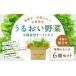 fu.... налог гидропонная культура leaf lettuce [.... овощи ]6 шт. комплект овощи оборка lettuce pyu avail зеленый Marie Gold Moco ve-ruse.. Fukuoka префектура Kitakyushu город 