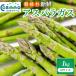 fu.... налог утро .. свежий спаржа 1kg[M размер ] | спаржа Gifu префектура .. город 