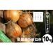 fu.... налог Nakayama san . из прямая поставка Awaji Island лук репчатый 10kg Hyogo префектура юг ... город 