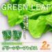 fu.... налог [ нет пестициды ] зеленый leaf lettuce 500g( примерно 250g×2P) lettuce Shizuoka префектура Ояма блок 