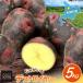 fu.... налог картофель te -тактный ro year 5kg Hokkaido .. блок 