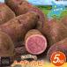 fu.... налог картофель no- The n рубин 5kg Hokkaido .. блок 