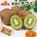 fu.... налог есть перевод киви 4kg. сельское хозяйство . киви F010-138015 Ehime префектура . мир остров город 
