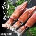 fu.... налог белый .160g×3 кубок комплект кальмар Shimane море . блок 