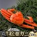 fu.... налог [ предшествующий предварительный заказ ] Tottori префектура производство есть перевод . сосна лист ..500g×1 кубок ( Nakamura магазин )2026 год 11 месяц отправка [ рассылка не возможно регион : отдаленный остров * Hokkaido * Okinawa префектура * Tohoku *.. Tottori префектура . голова блок 