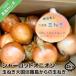 fu.... налог Awaji Island высшее . лук Charlotte oni on [4kg] шар лук порей большой страна Awaji Island c шар лук порей Hyogo префектура юг ... город 