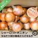 fu.... налог Awaji Island высшее . лук Charlotte oni on [5kg] шар лук порей большой страна Awaji Island c шар лук порей Hyogo префектура юг ... город 