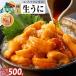 fu.... налог первоклассный ezo морской еж hemicentrotus 80g( упаковка .)[mh-0907_C] Hokkaido . другой город 