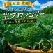 fu.... налог [. мир 8 год производство ] брокколи 5 АО L размер Hokkaido брокколи Hokkaido прекрасный . блок 