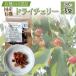 fu.... налог [ местного производства иметь машина ] dry Cherry 30g×3 пакет ALPEL011 Yamanashi префектура юг Alps город 