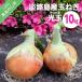 fu.... налог Awaji Island производство шар лук порей свет шар 10 kilo Hyogo префектура юг ... город 
