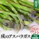 fu.... налог . спаржа есть перевод 1kg лето . спаржа Yamagata префектура рис . город 