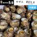 fu.... налог Sazae примерно 2kg(16 шт ~30 шт )[ рассылка не возможно регион : отдаленный остров * Hokkaido * Okinawa префектура * Tohoku ][1746734] Hyogo префектура новый горячие источники блок 