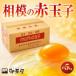 fu.... налог Sagami. красный шар . примерно 5kg 75 шт + трещина гарантия 5 шт ~ Kanagawa префектура love река блок ~[ рассылка не возможно регион : отдаленный остров ][1745588] Kanagawa префектура love река блок 