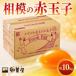 fu.... налог Sagami. красный шар . примерно 10kg 140 шт + трещина гарантия 10 шт передний и задний (до и после) [ рассылка не возможно регион : отдаленный остров ][1745589] Kanagawa префектура love река блок 
