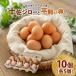 fu.... налог [ земля .ji low. яйцо . flat .. яйцо комплект ] итого 10 шт ( каждый 5 шт ) Kochi префектура Nankoku город 