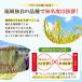 �ӂ邳�Ɣ[�� �y���ʌ���z�ߘa7�N�Y ������(����) �������Y�u�����h�� 10kg (�i��:3X11R7) �������ԑ� �֘A�摜2