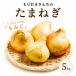 fu.... налог лук репчатый 5kg клен три . город [ овощи шар лук порей ] Tokushima префектура три . город 