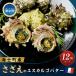 fu.... налог Sazae 12 шт Escargo масло способ Sazae Shimane море . блок 