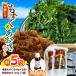 fu.... налог Okinawa префектура остров производство соль мозуку (500g×3 пакет )& сухой ульва «морской салат» (15g×2 пакет )[ мозуку соус бутылка 1 шт. имеется ] прямая поставка от производителя комплект красота stock Okinawa.. Okinawa префектура Okinawa город 