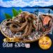 fu.... налог есть перевод Seto внутри море. . комплект вакуум сырой осьминог примерно 1kg Yamaguchi префектура flat сырой блок 