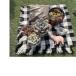 fu.... налог суккулентное растение .... конструкция комплект + суккулентное растение 3 pot C[1720095] Osaka (столичный округ) 4 .. город 