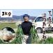fu.... налог .. Chan. Awaji Island лук репчатый 3kg| носитель информации ... обивка . это сельское хозяйство дом san ......-.[ лук репчатый ]! Hyogo префектура юг ... город 