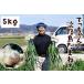 fu.... налог .. Chan. Awaji Island лук репчатый 5kg| носитель информации ... обивка . это сельское хозяйство дом san ......-.[ лук репчатый ]! Hyogo префектура юг ... город 