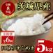 ふるさと納税 米 定期便 にじのきらめき 5kg 6ヶ月 茨城県常陸大宮市