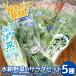 �ӂ邳�Ɣ[�� �̂ꂽ�ĐV�N ���k��؂̃T���_�Z�b�g 5�� �t�����A�C�X���^�X�E�O���[�����[�t���^�X�E�T���_���؁E�N���\���E�z���C�g�Z���� .. �򕌌����Ð�s