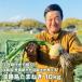 fu.... налог Awaji Island шар лук порей (10 kilo ) шар лук порей прямая поставка от производителя Hyogo префектура .. город 