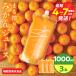 �ӂ邳�Ɣ[�� �ʏ` 100�� �܂��� �݂��� �W���[�X 1000ml�~3�{ �@�\���\���H�i ���� �\�t�g�h�����N �ʕ� �t���[�c ���k �~�J��_BD62-22 �{�茧����s