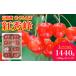դ뤵Ǽ  Ƚ Lʾ 1440g(180g8ѥåˡ8ǯͽFS25-561 