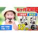 fu.... tax [6 months fixed period flight ] Kumamoto .... musenmai 12kg with translation { application month. next month from shipping beginning } l musenmai musenmai musenmai musenmai musenmai musenmai less ... Kumamoto prefecture . boat block 